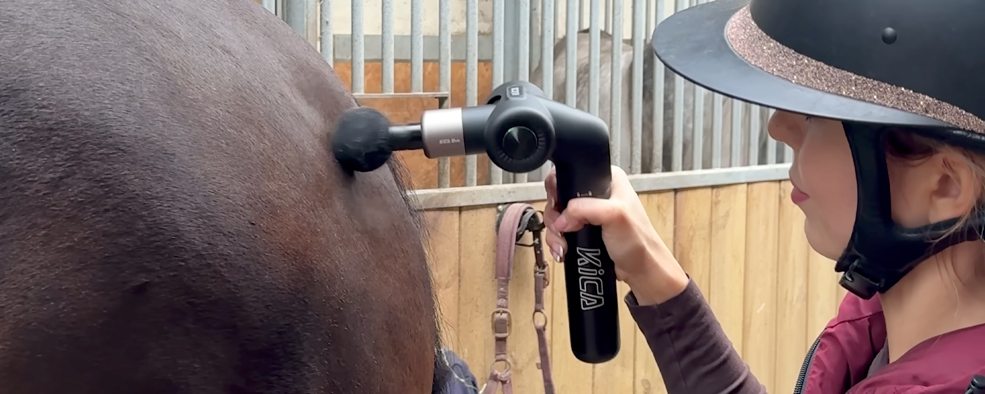 Pistolet do masażu dla koni – jak wspierać regenerację i zdrowie Twojego wierzchowca?